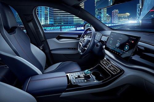 国产精品300,匠心独运，品质卓越的匠心之作